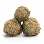 Red Congolese gary payton weed strain